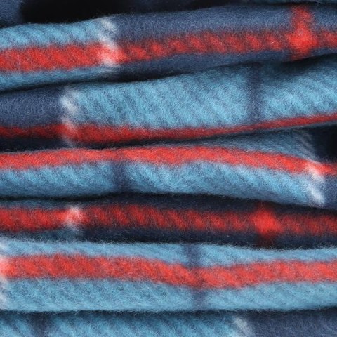 NILS CAMP NC8002 KOC PIKNIKOWY KRATKA NIEBIESKI 250x200 PE ALU NILS CAMP